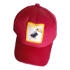 Gorra Bordado de Ave