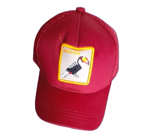 Gorra Bordado de Ave