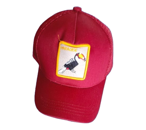 Gorra Bordado de Ave