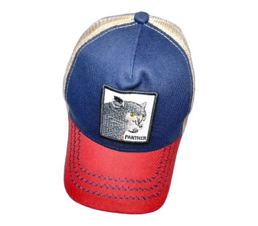 Photoroom-20240704_145240_17 Gorra Bordado de Pantera
