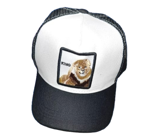 Photoroom-20240704_145240_18 Gorra Bordado de León