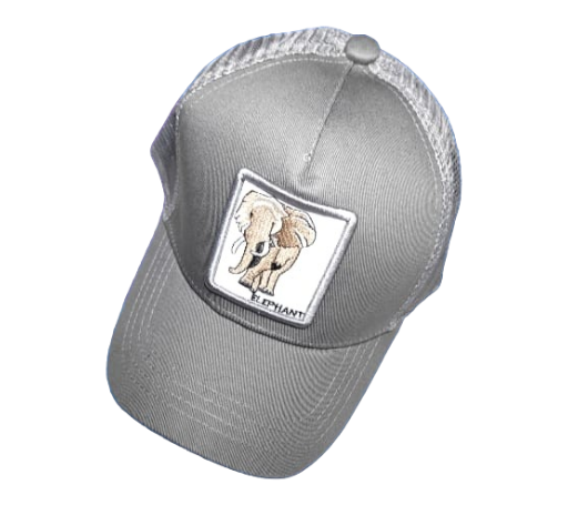 Photoroom-20240704_145240_21 Gorra Bordado de Elefante