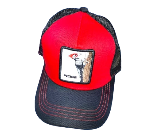 Gorra Bordado de Ave
