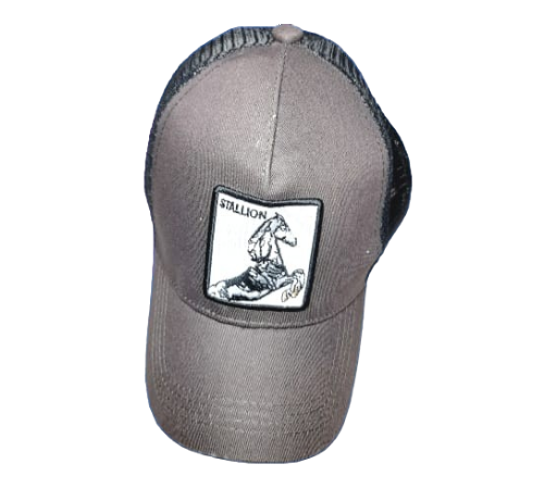 Photoroom-20240704_145240_26 Gorra Bordado de Caballo