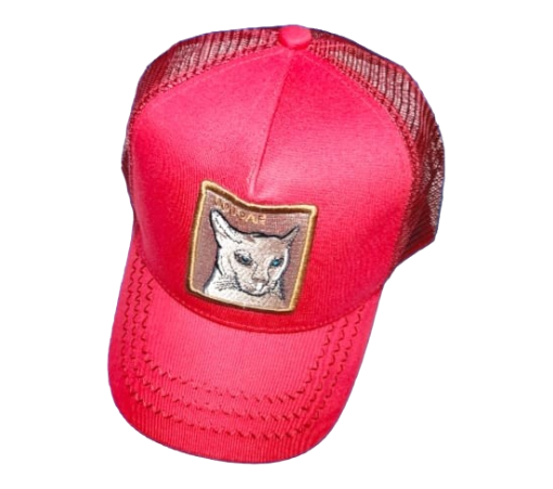 Photoroom-20240704_145240_9 Gorra Bordado de Gato